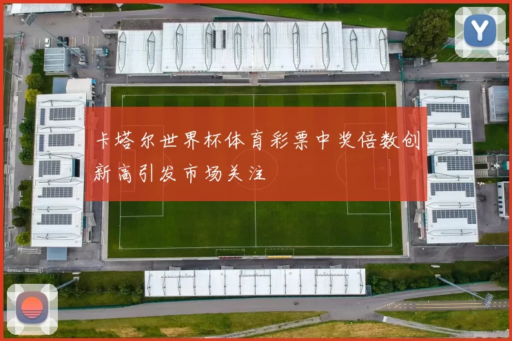 卡塔尔世界杯体育彩票中奖倍数创新高引发市场关注