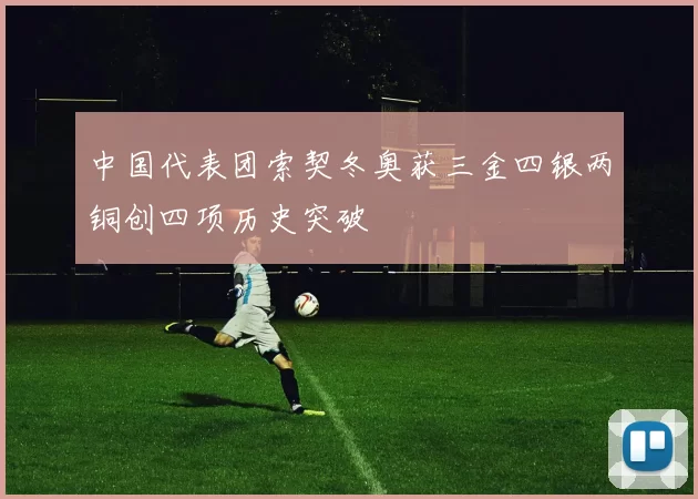 中国代表团索契冬奥获三金四银两铜创四项历史突破