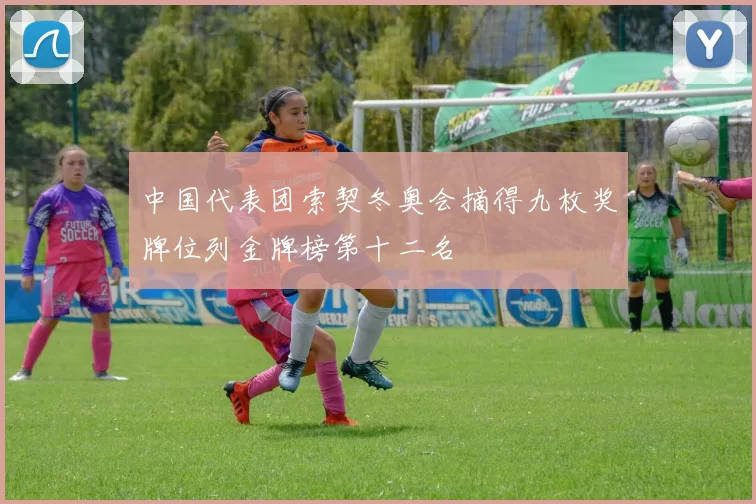 中国代表团索契冬奥会摘得九枚奖牌位列金牌榜第十二名