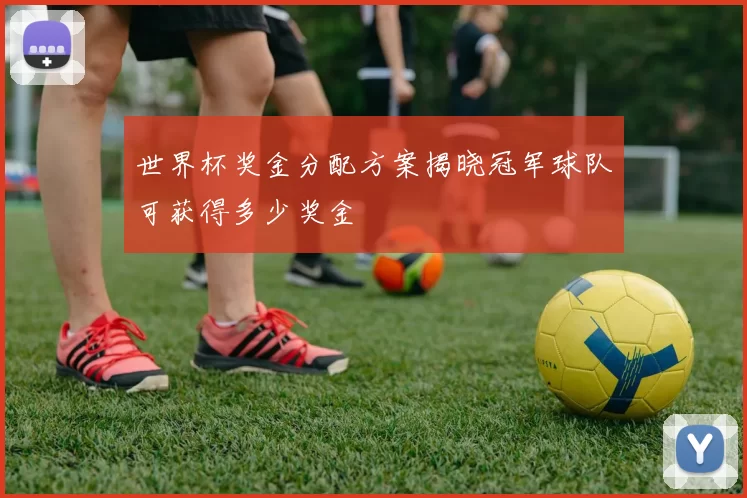 世界杯奖金分配方案揭晓冠军球队可获得多少奖金